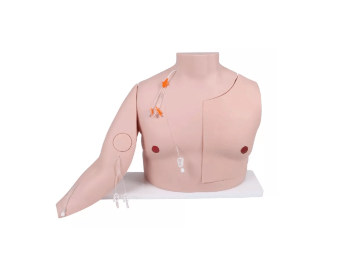 Vascular Victor – Port - und ZVK - Trainer für Gefäßzugangs - Training - Erler - Zimmer